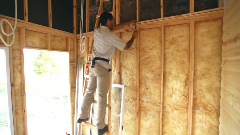 Best Insulation Air Sealing  in , NV